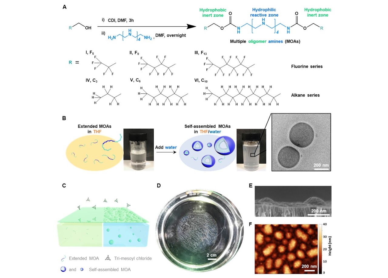 Energy-related membrane applications spanning biofuels, osmosis modules, and battery materials.